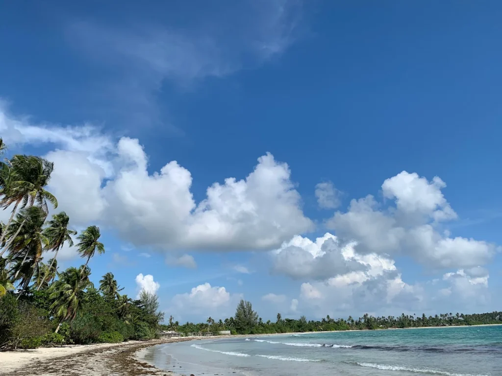 taxi tanjungpinang to mutiara beach resort